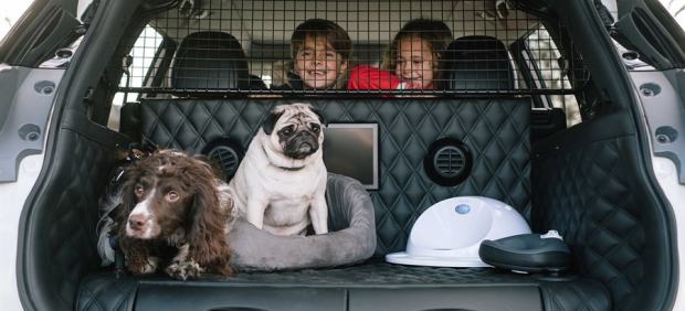 Nissan X-Trail 4Dogs, el coche para viajar con mascotas