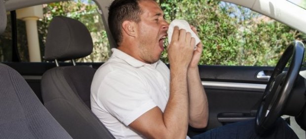 Alergias al volante